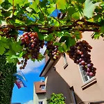 Moltkestrasse 89 *